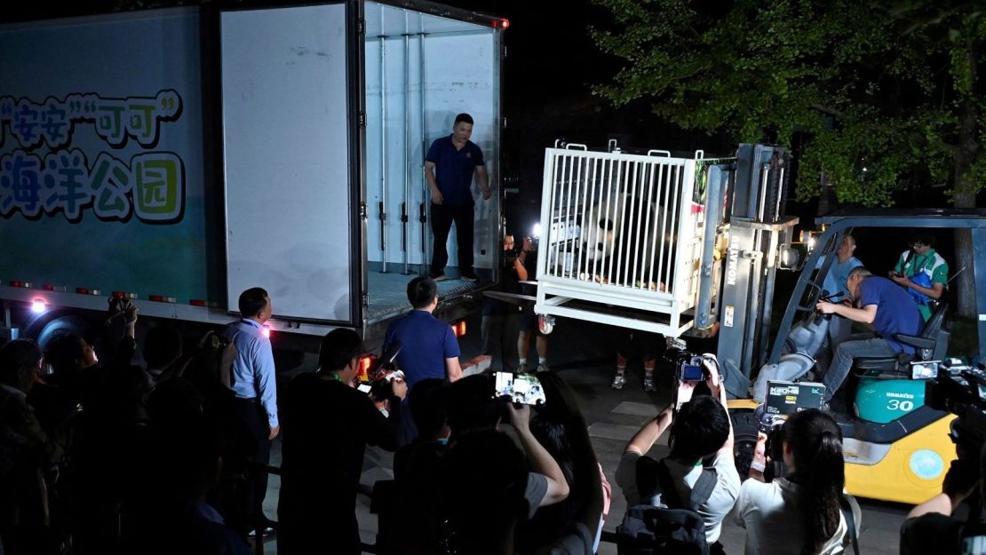 Giant panda An An is loaded onto a truck as two giant pandas make their way to Hong Kong from the Dujiangyan Panda Base in Sichuan Province, China, on September 26, 2024.